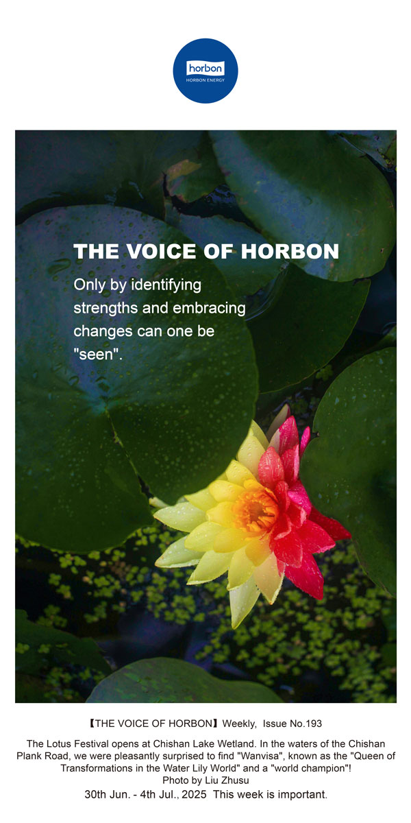 【和之声】找准优势、、、拥抱转变，才华“被望见”。(总第193期）--2025.6英文导出季度推送用.jpg