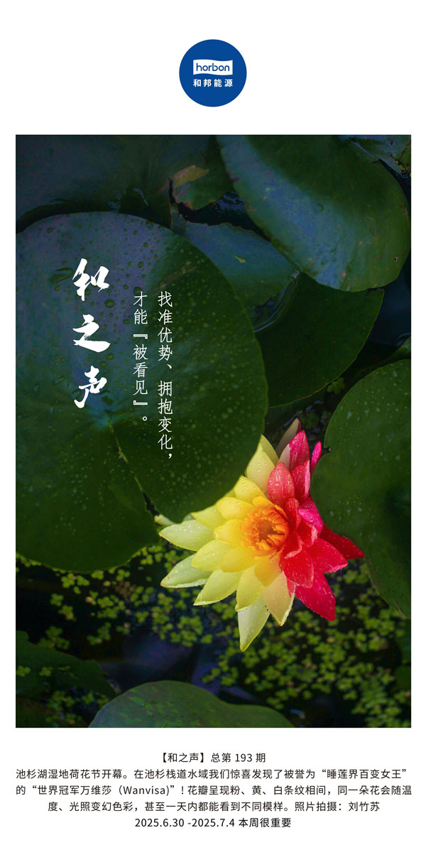 【和之声】找准优势、、、拥抱转变，，，才华“被望见”。。。(总第193期）--2025.6中文导出季度推送用.jpg